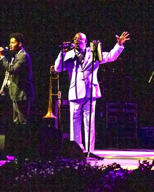 The Buena Vista Orchestra